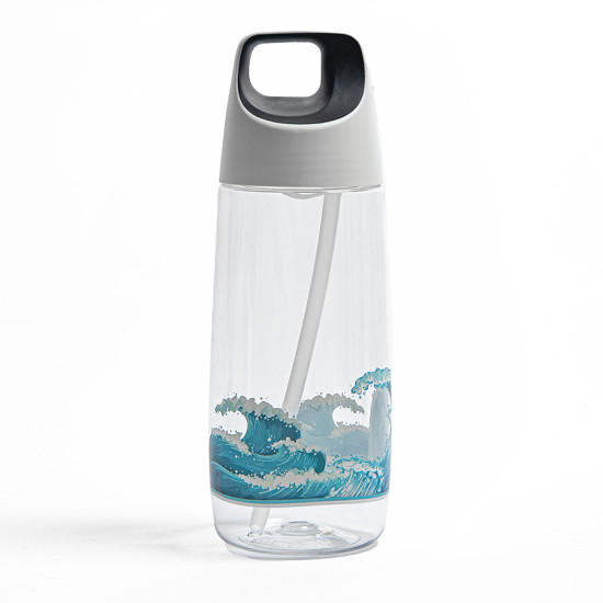 Бутылка для воды TUBE, 700 мл; 24х8см, прозрачный, пластик rPET